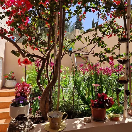 Apartman Ana *
